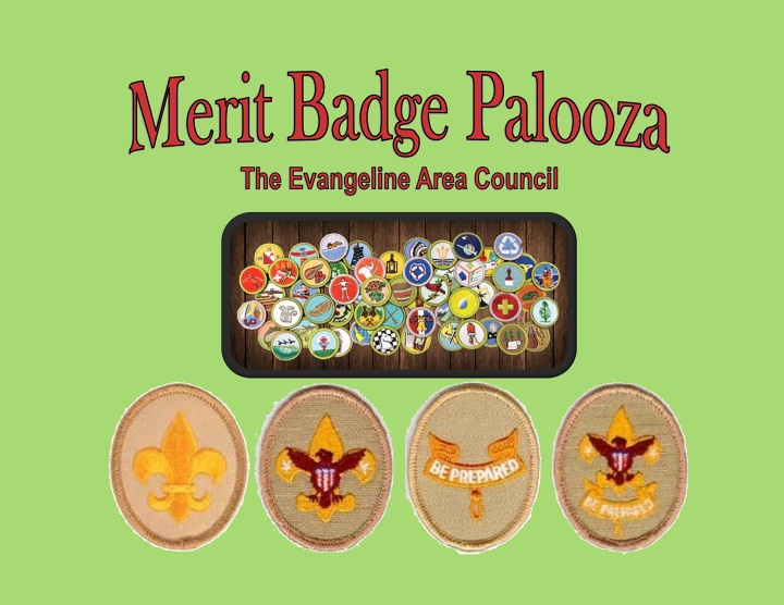 Personal management merit badge resources